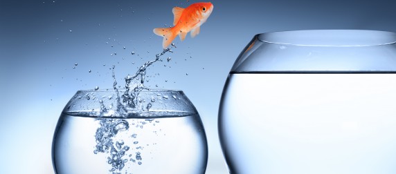 Veranderingen in groep 4a