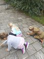 IMG_20190920_114310